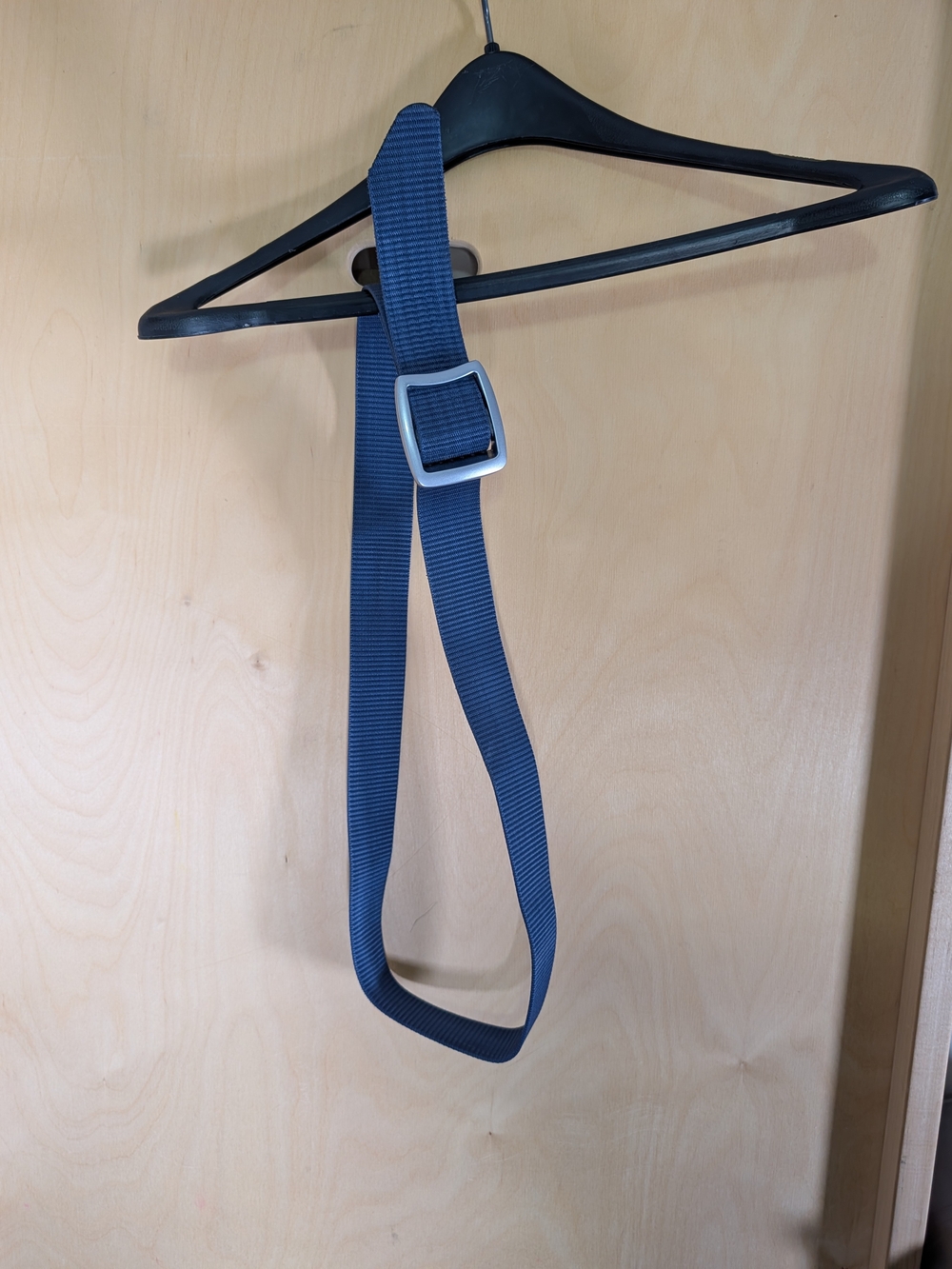 Men's Blue Webbing Belt with Silver Buckle